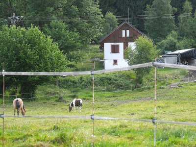 La maison de Murielle Bolle à Granges-sur-Vologne, le 21 juin 2017 - PATRICK HERTZOG [AFP/Archives]